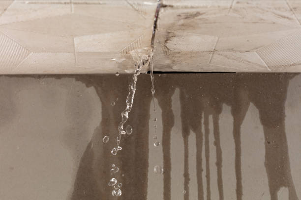 Professional Flood Damage Cleanup technician working in Elizabeth, PA